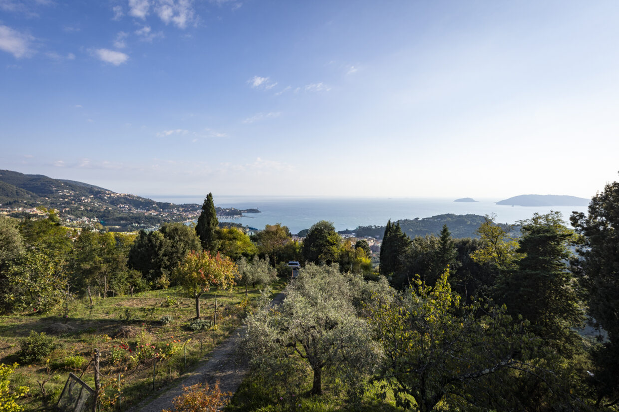 La Camelia Bianca - B&B vista mare a Lerici nel Golfo dei Poeti